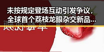 未按规定登场互动引发争议，全球首个荔枝龙眼杂交新品“怀石”惊艳亮相