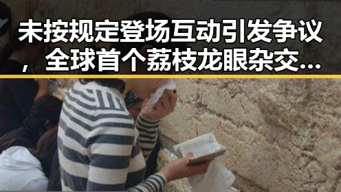 未按规定登场互动引发争议，全球首个荔枝龙眼杂交新品“怀石”惊艳亮相
