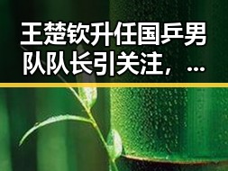 王楚钦升任国乒男队队长引关注，买了34层房却只建到32层引发热议