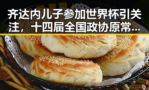 齐达内儿子参加世界杯引关注,十四届全国政协原常委齐扎拉被判无期徒刑事件反差鲜明